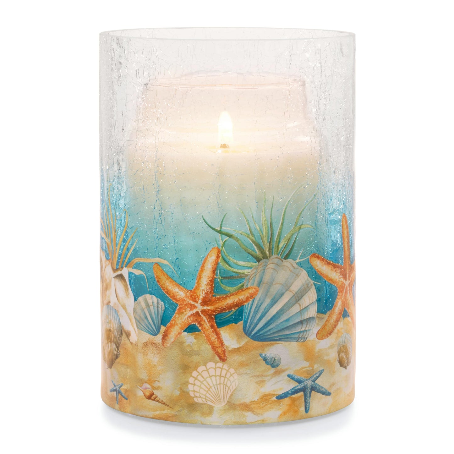Coastal Jar Candle Holder T1D
