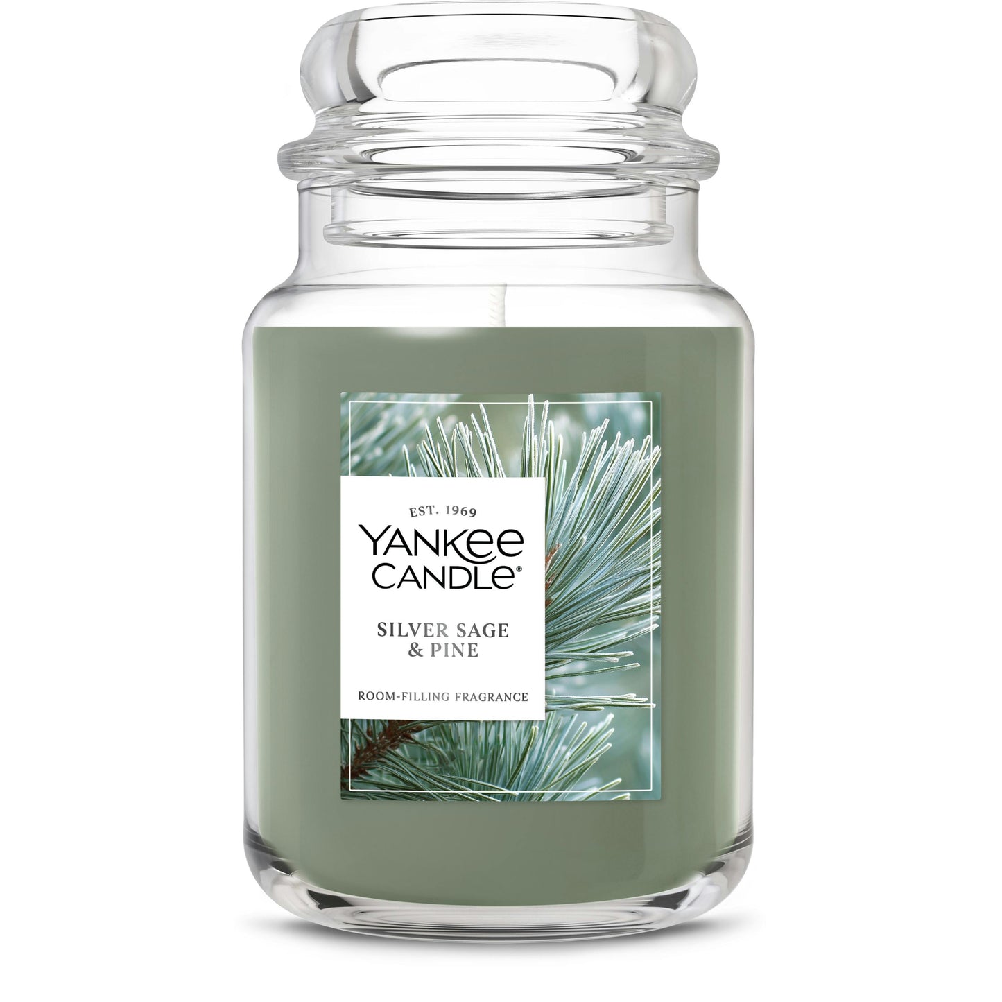 Silver Sage & Pine 8W8