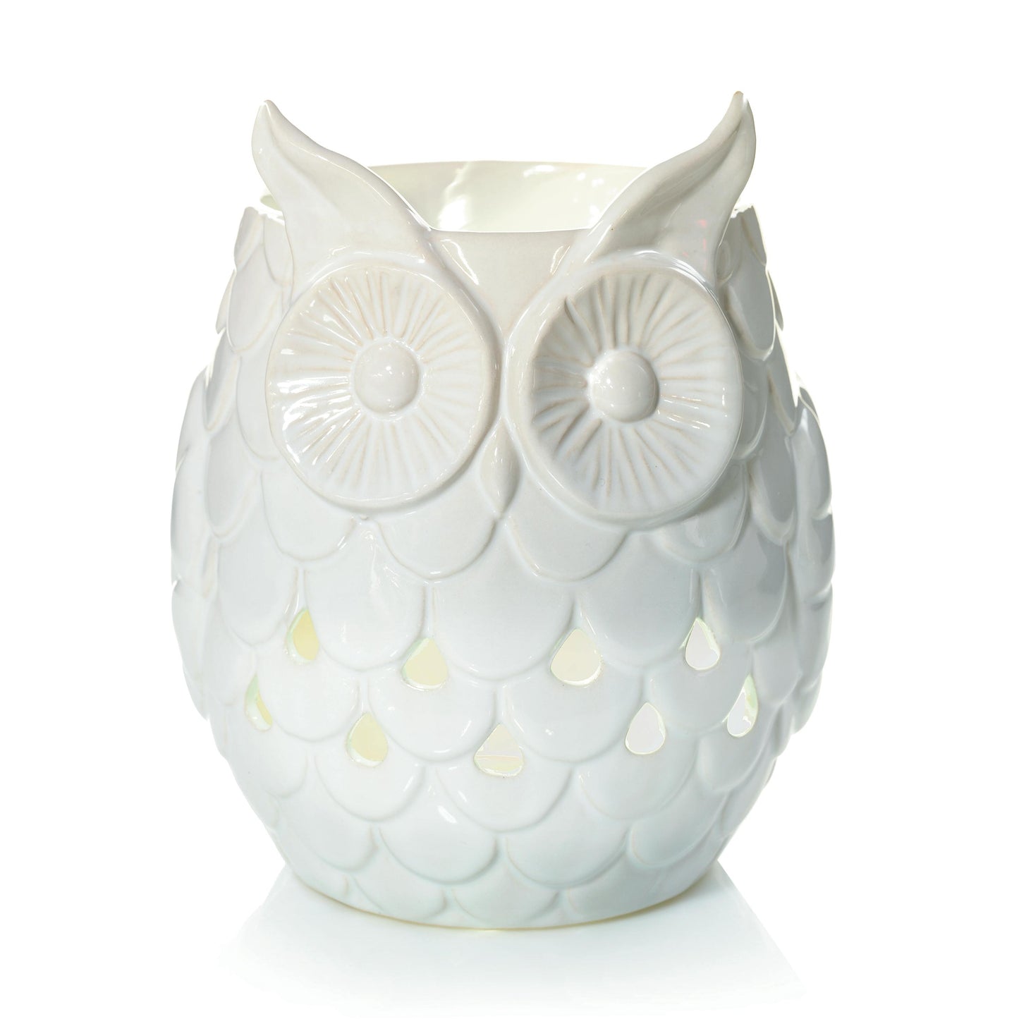 Owl XQ6