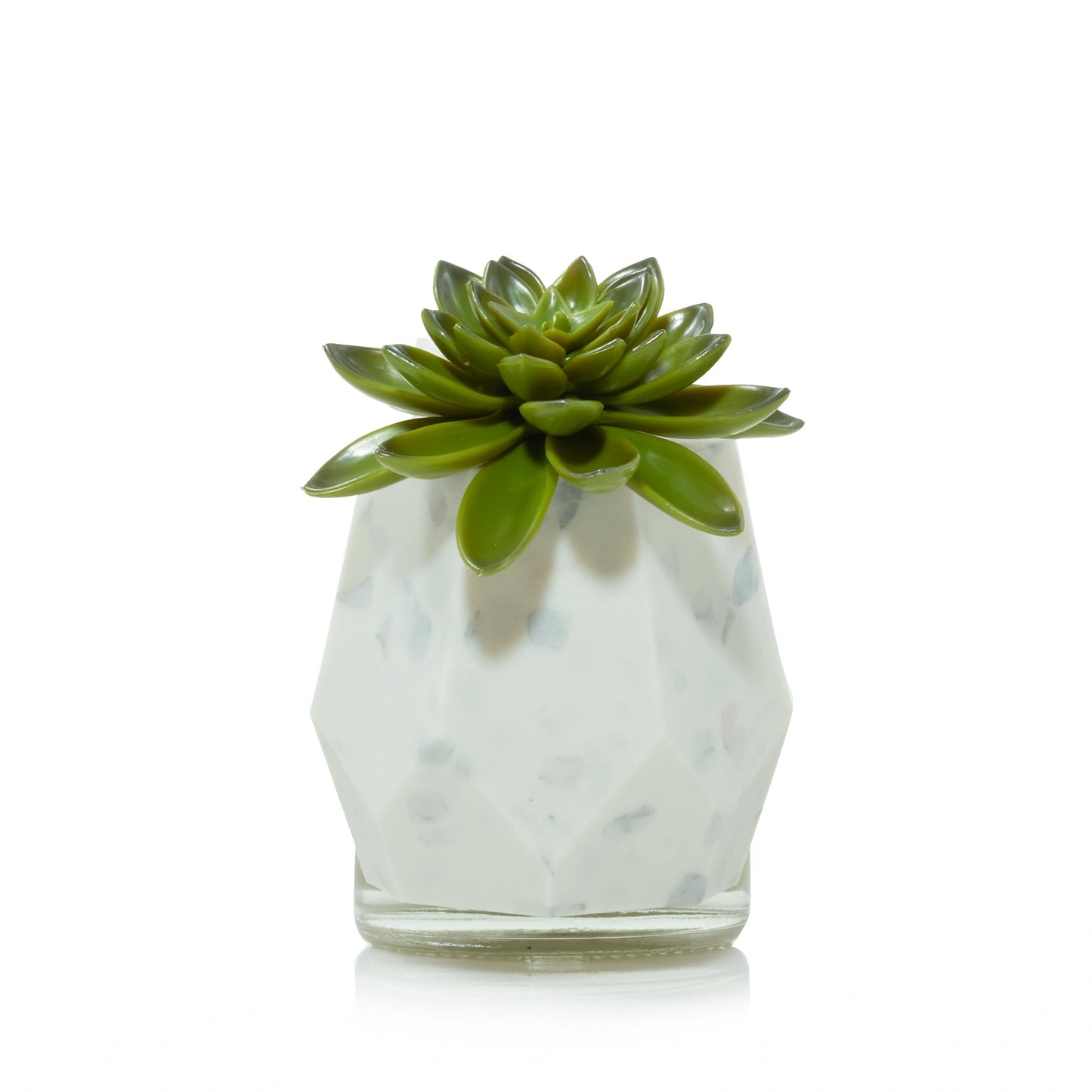 Faceted Succulent ScentPlug® Diffuser with Light M9L