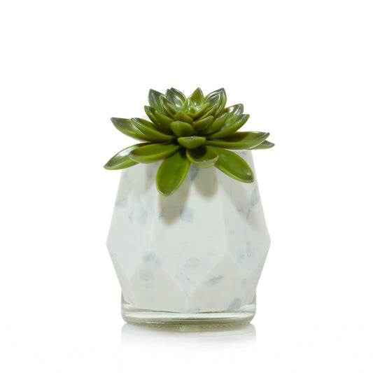 Faceted Succulent ScentPlug® Diffuser with Light M9L